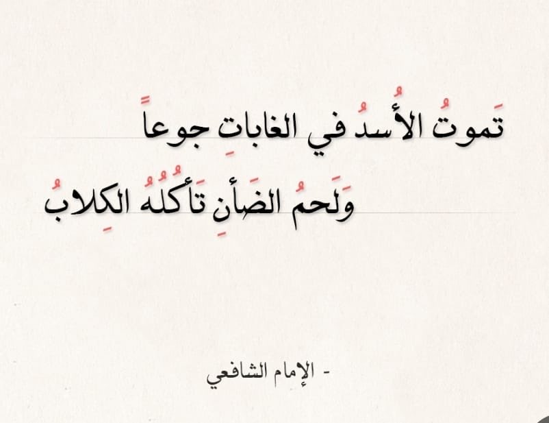 فيصل جازع المطيري بو بندر tweet media