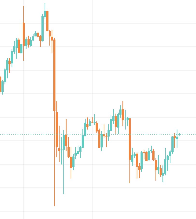 Mariel Lang tweet media
