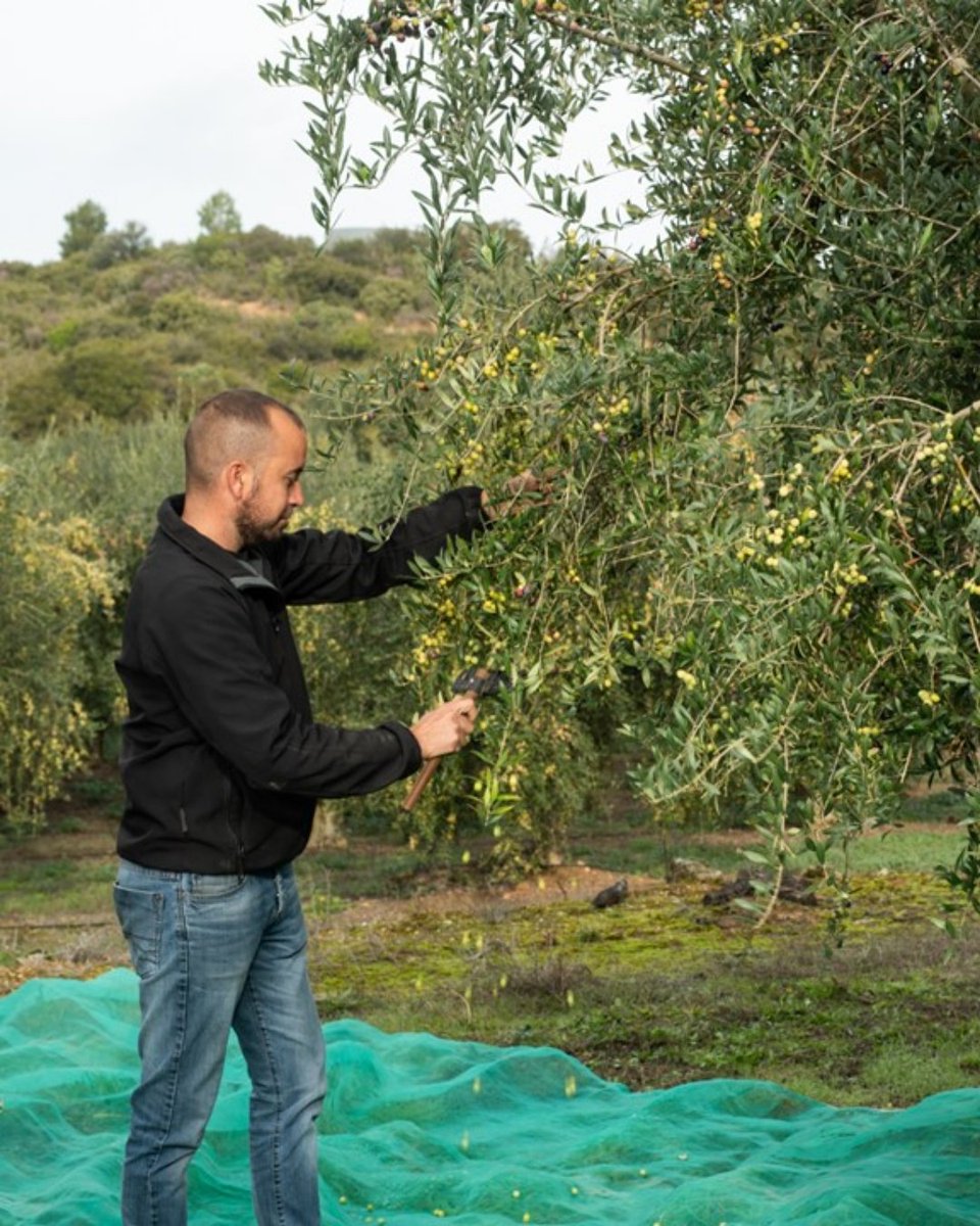 Benvinguts a Pagès tweet media