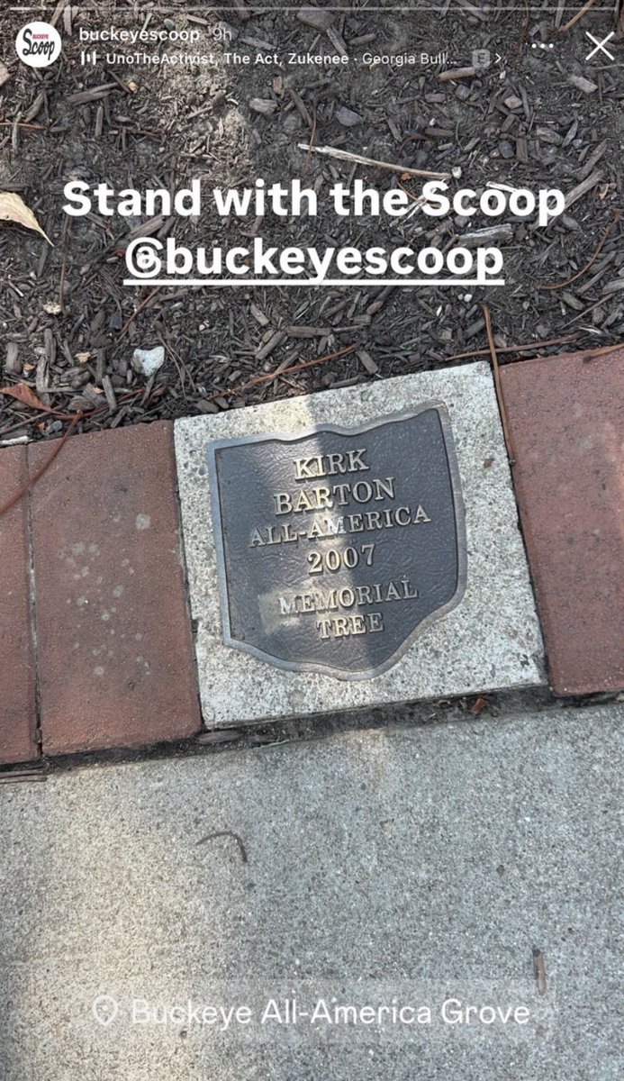 Dorene🅾️ ✝️🌰🇺🇸🏈⚖️ tweet media