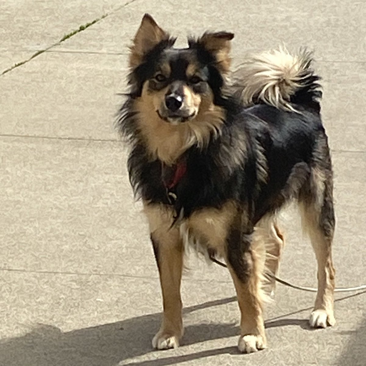 Mix 102.7 WCPZ tweet media