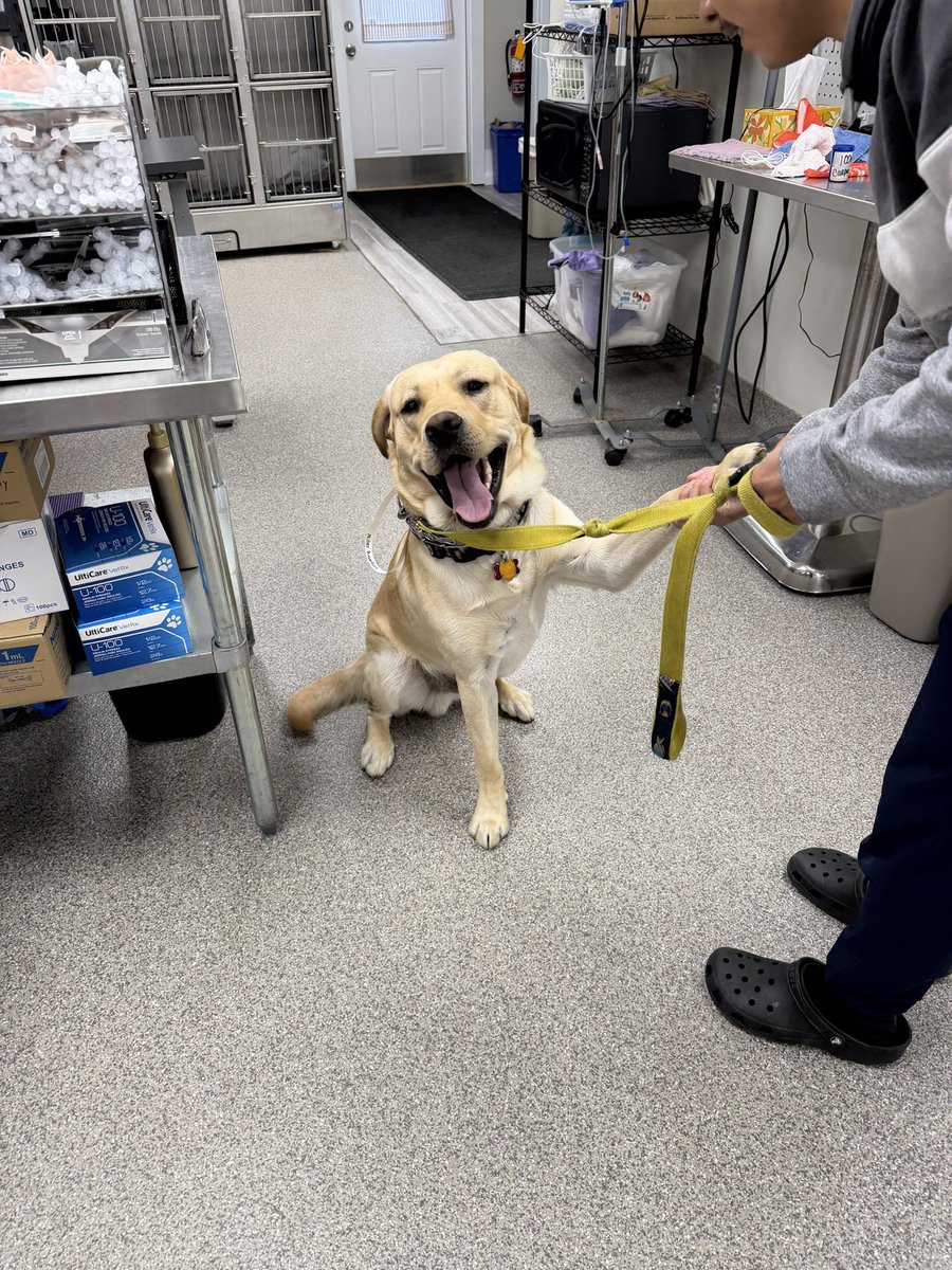 Spay Spa&Neuter Nook tweet media