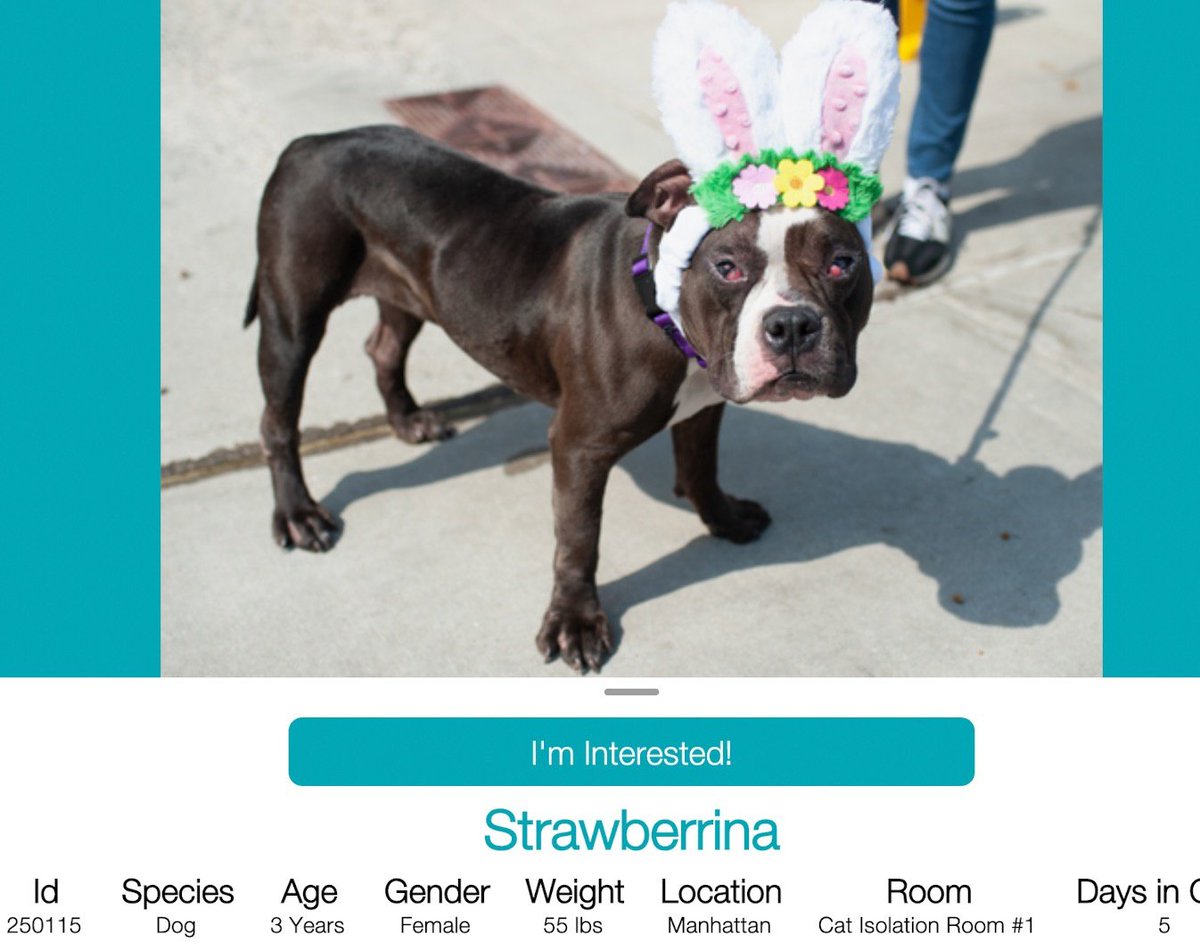 Char Bolen tweet media