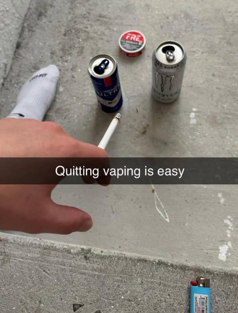 Braindead Bird App tweet media