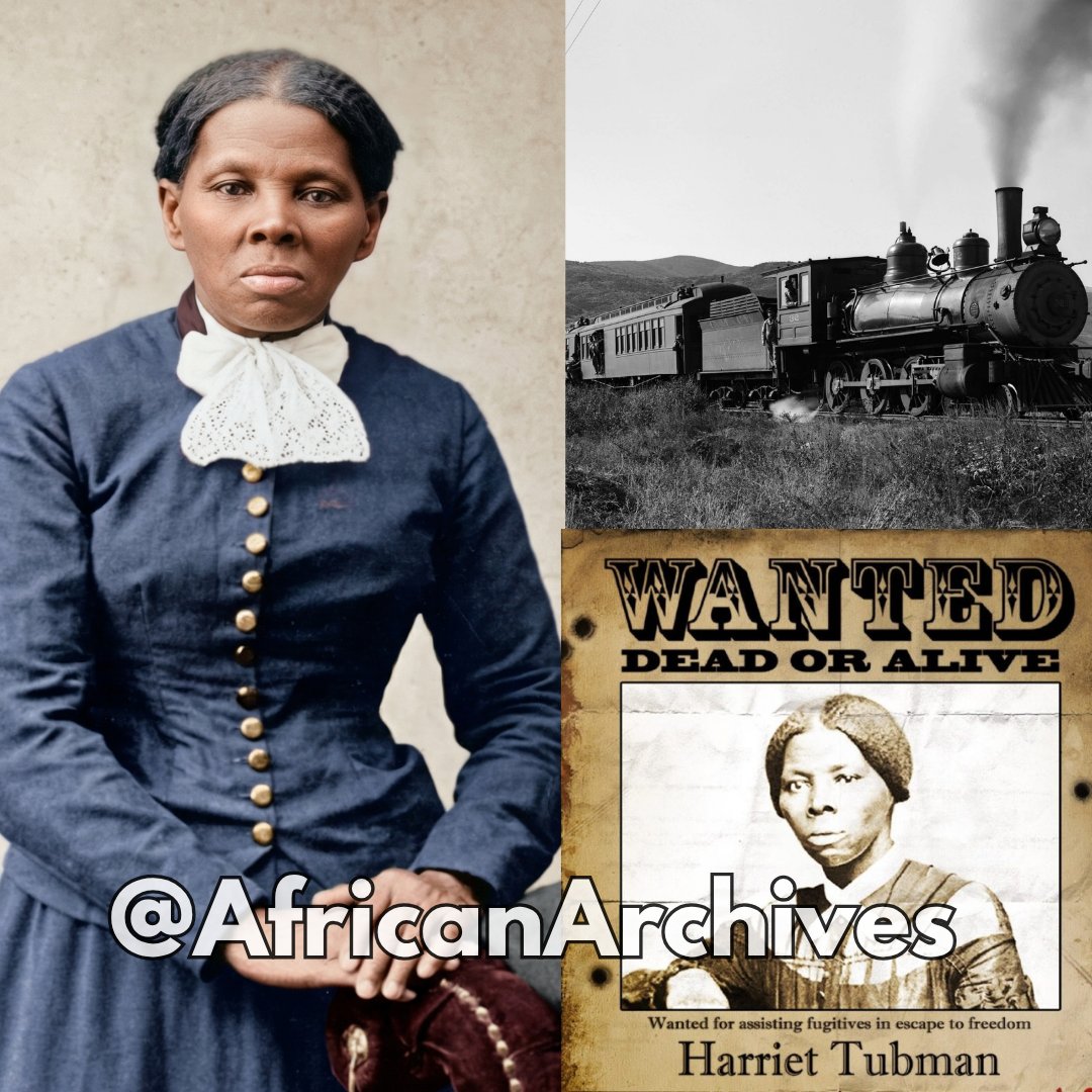 AFRICAN & BLACK HISTORY tweet media