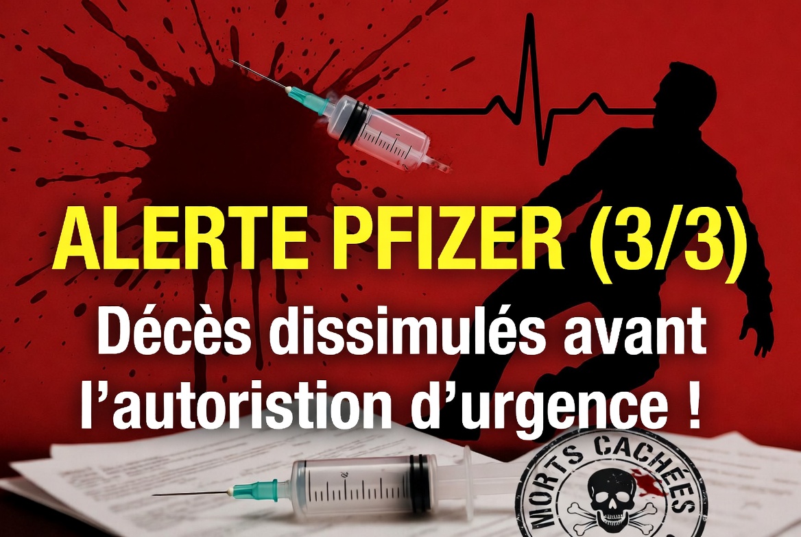 Révolution Canapé tweet media