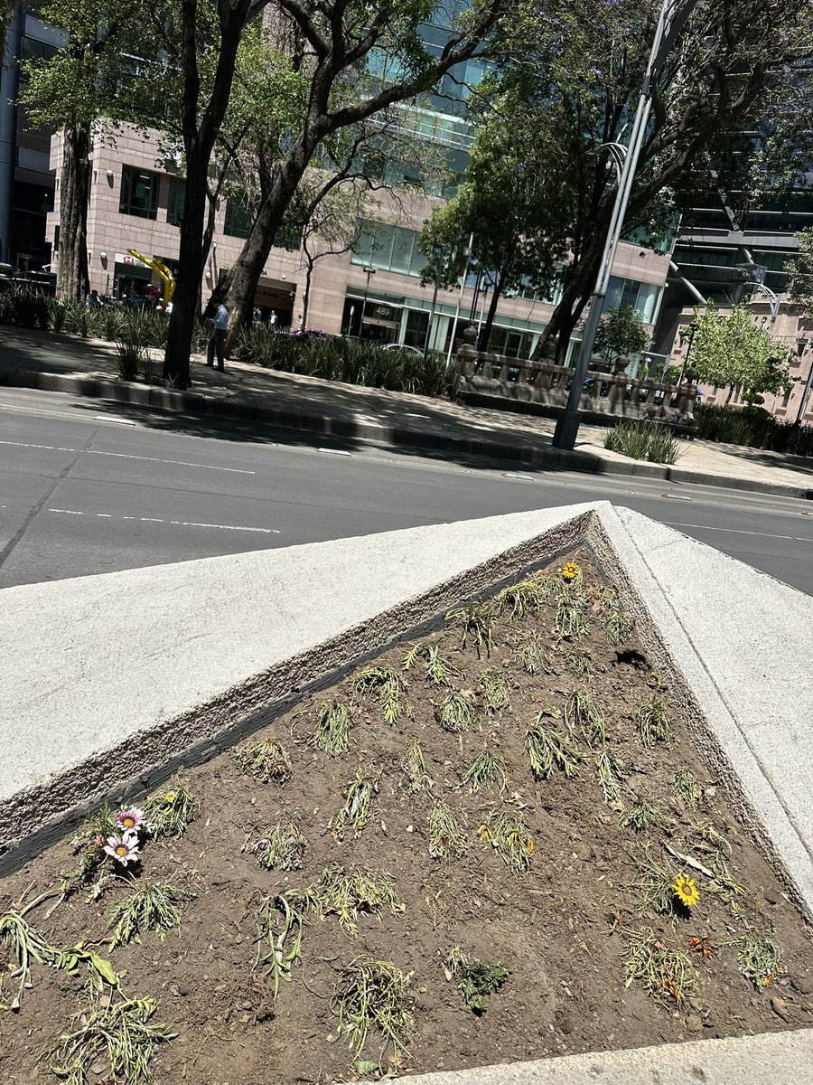 REPORTINQUIETO 🇲🇽💫 tweet media