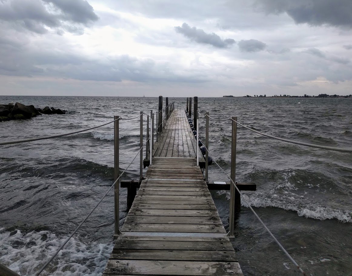 Steybey 🏳️🌈 tweet media