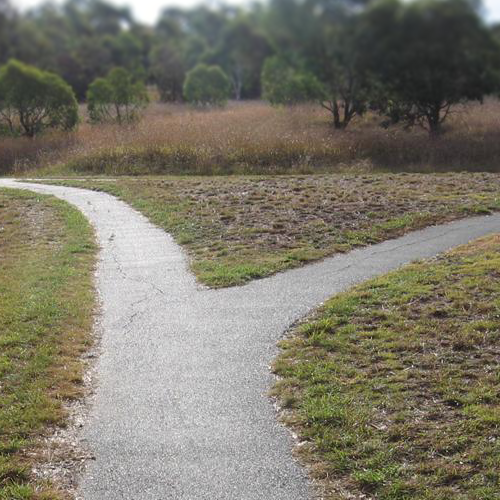 Be Here Now Network tweet media