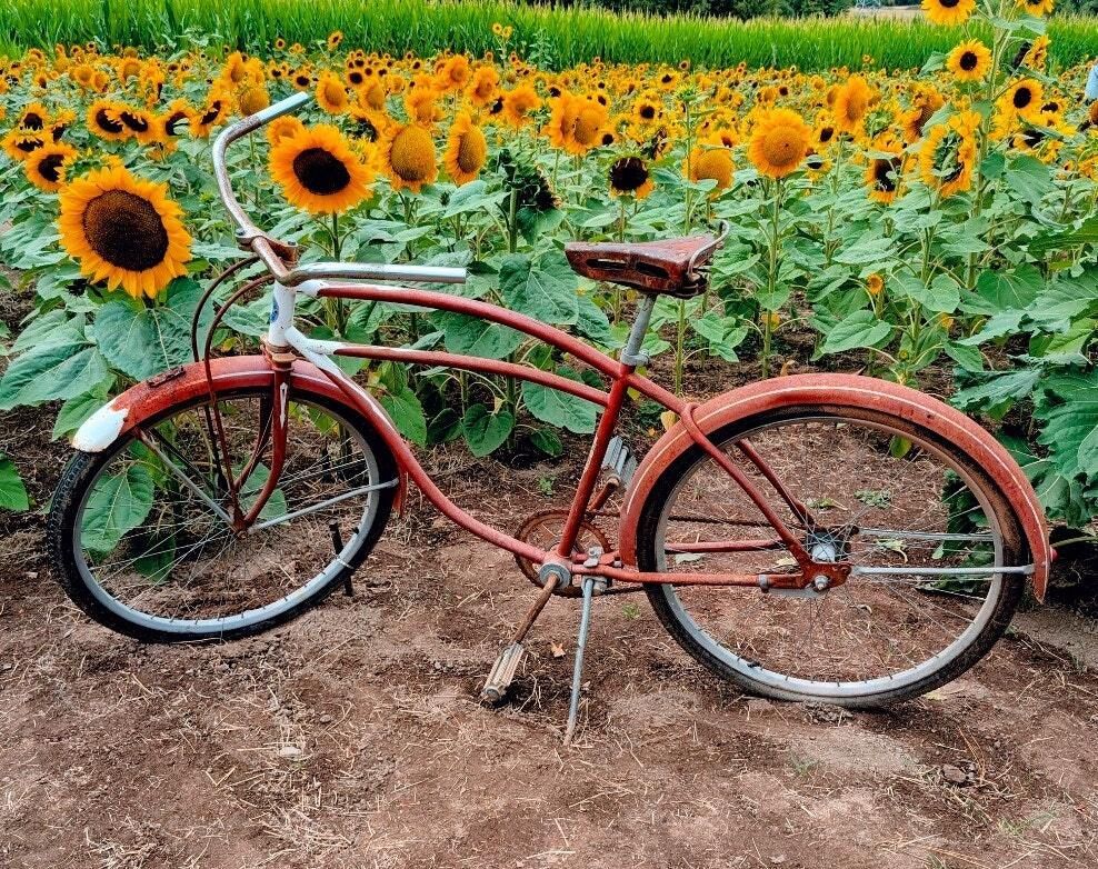 City of Wilsonville tweet media