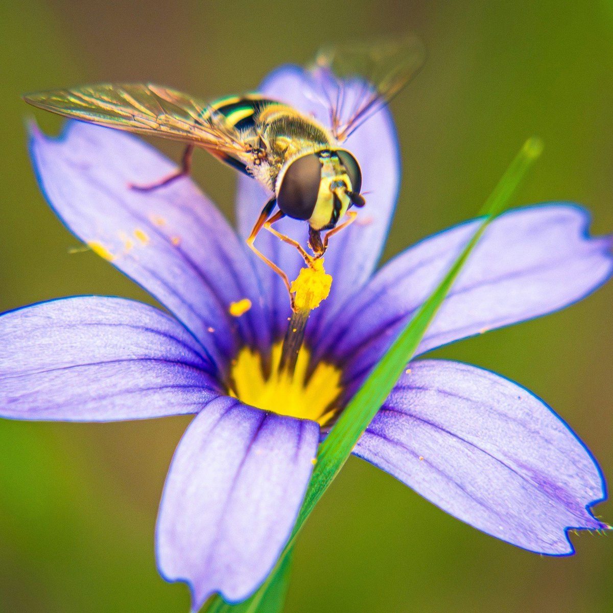 City of Wilsonville tweet media