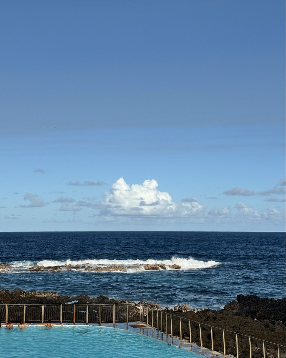 ℳ.𝒶 tweet media