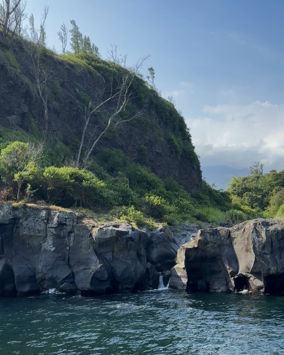 ℳ.𝒶 tweet media