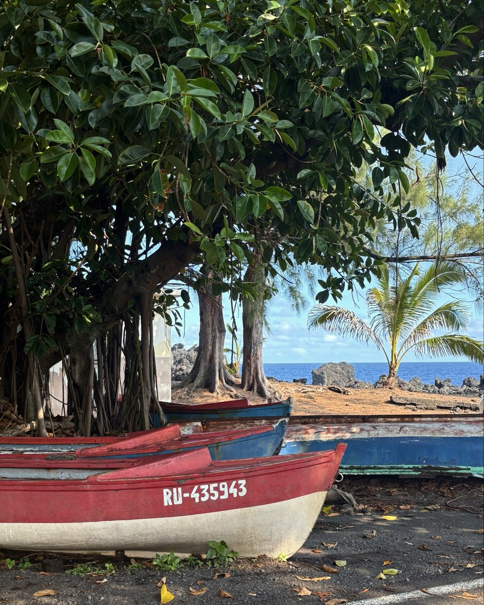 ℳ.𝒶 tweet media