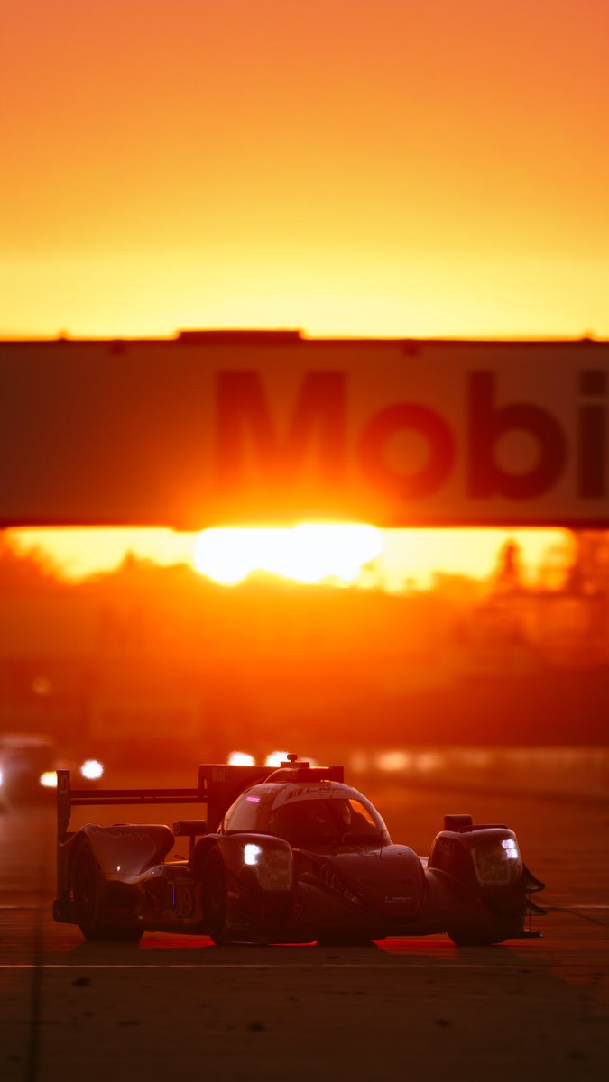 AO Racing 🦖 tweet media