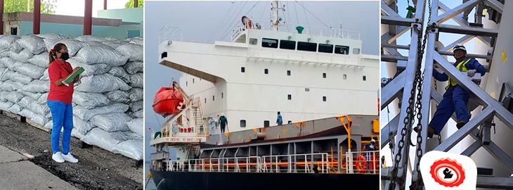 Páginas Amarillas de ETECSA tweet media