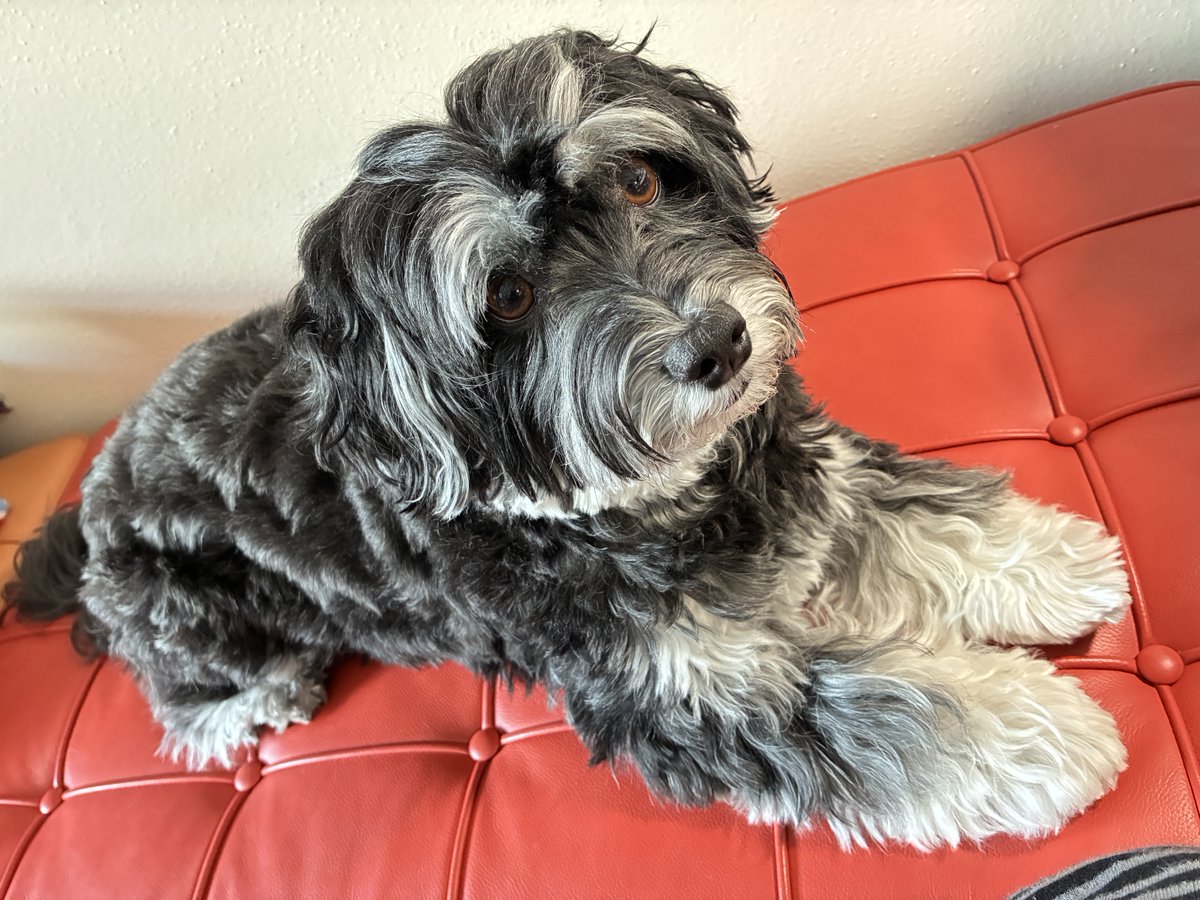 Jacky 🌞 tweet media