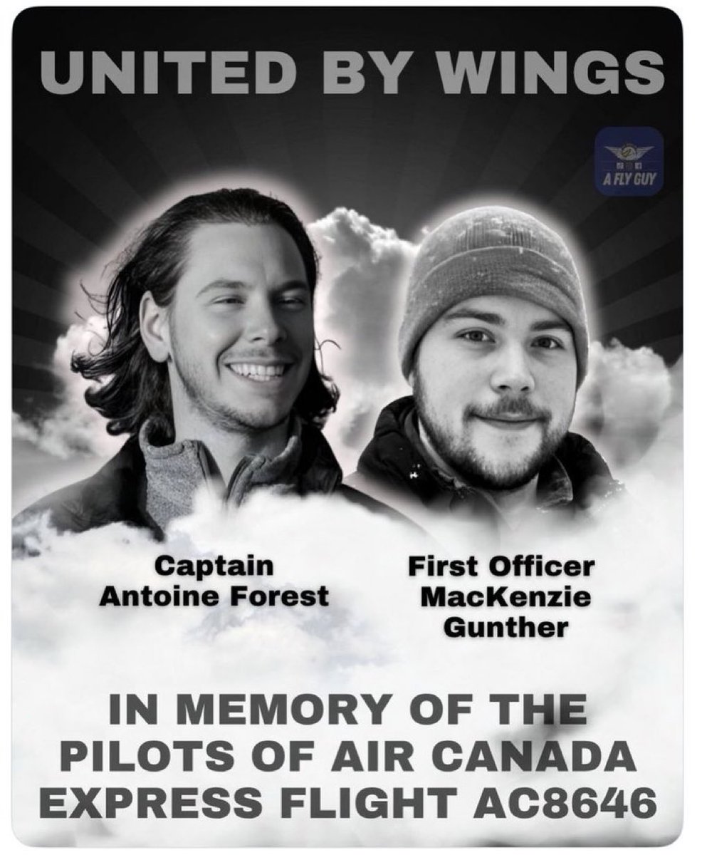 Colleen McCourt tweet media