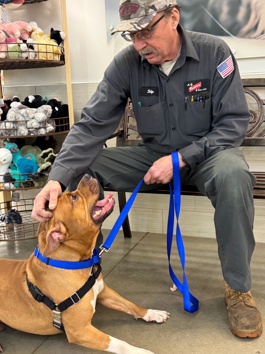 Erie County SPCA, NY tweet media