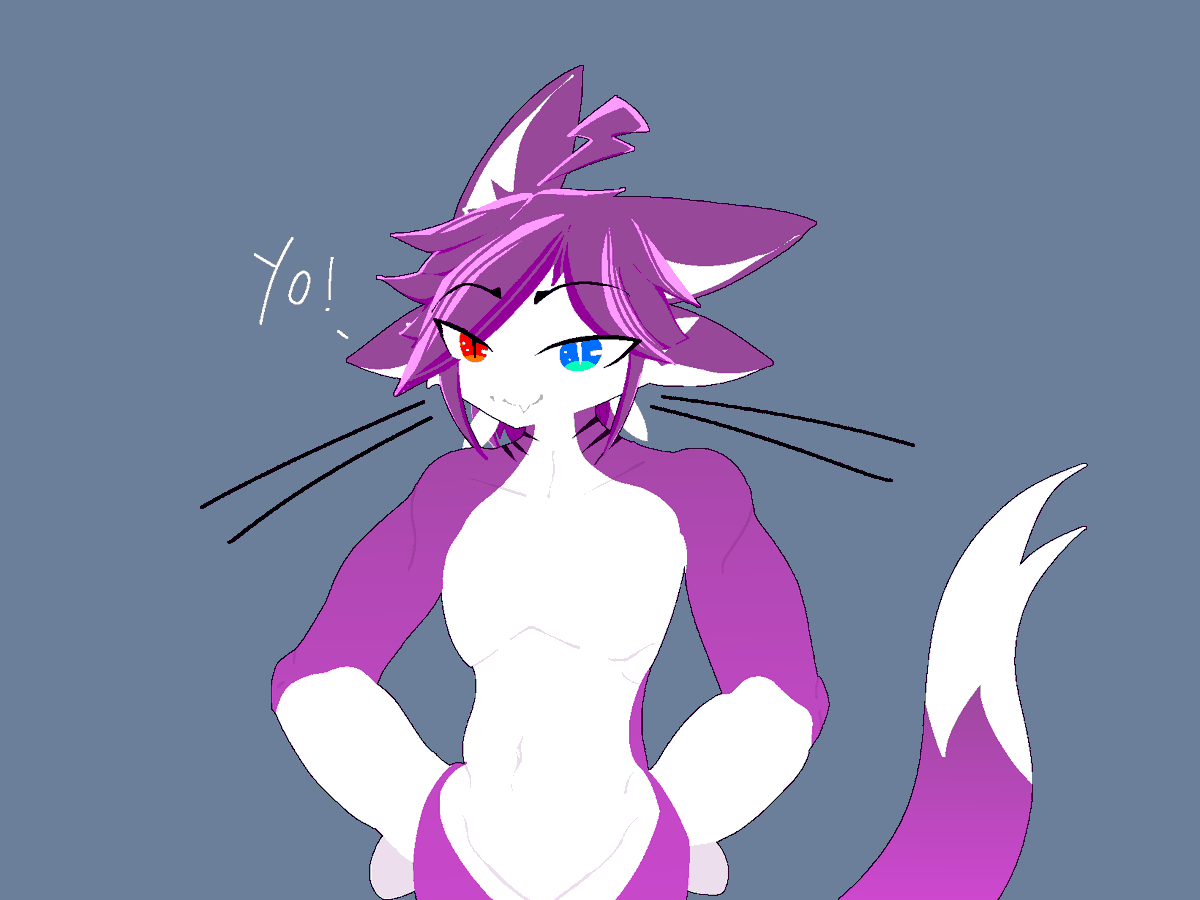 Timing Meow Howing TF tweet media