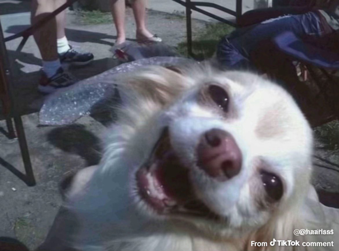 AHSTROL ⚠️🧪 tweet media