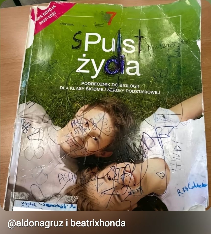 Michalina Kobla tweet media