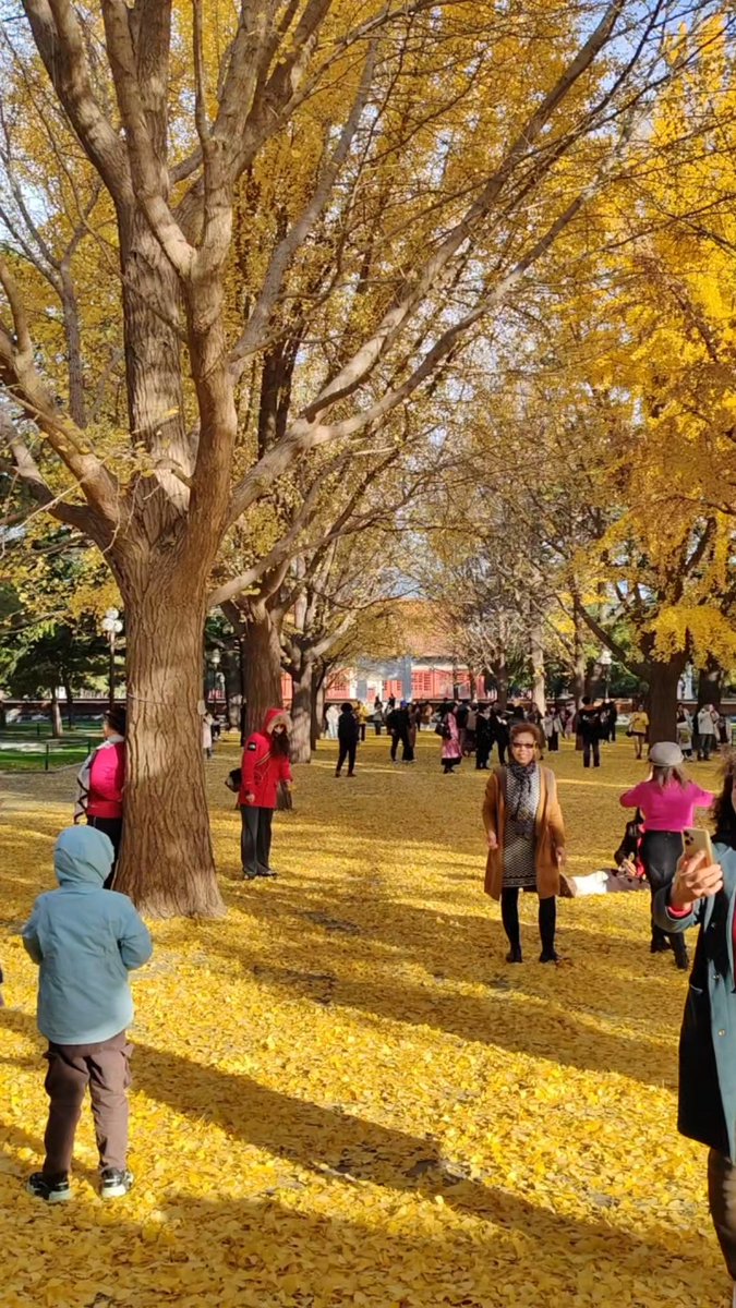 Mike senejoa tweet media