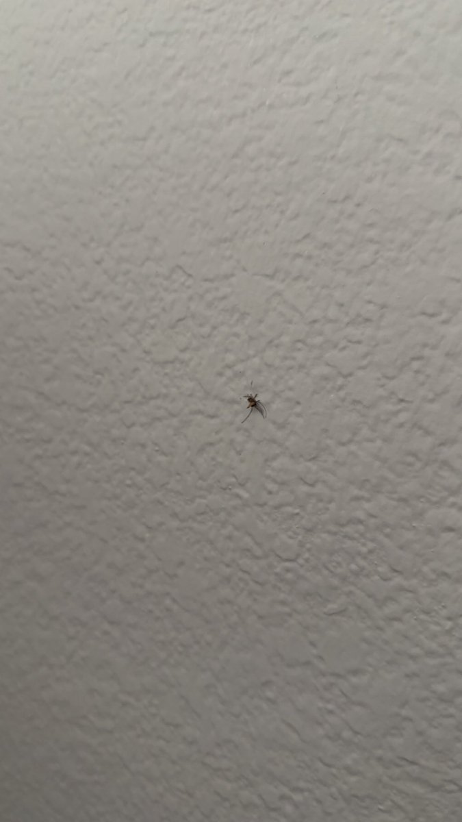 Mr. Ningensama 🍆 tweet media