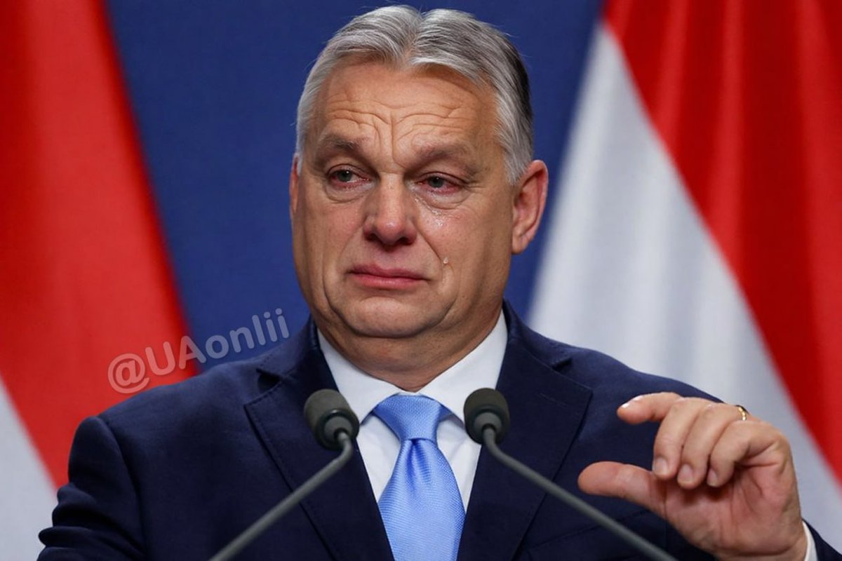 Генсек НАТО tweet media