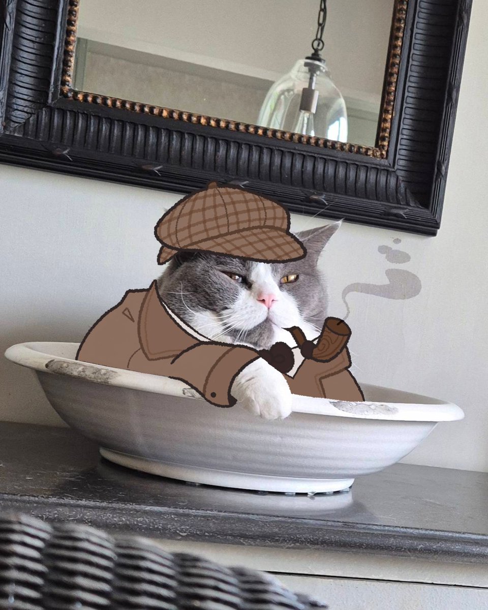 𓆱 Anda 𓆱 tweet media