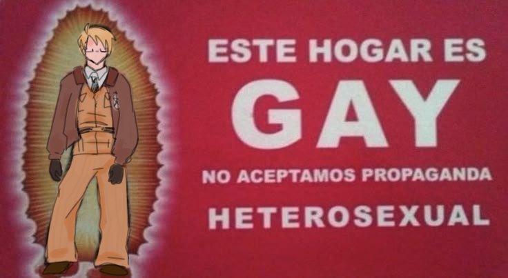 𑣲 alfie tweet media