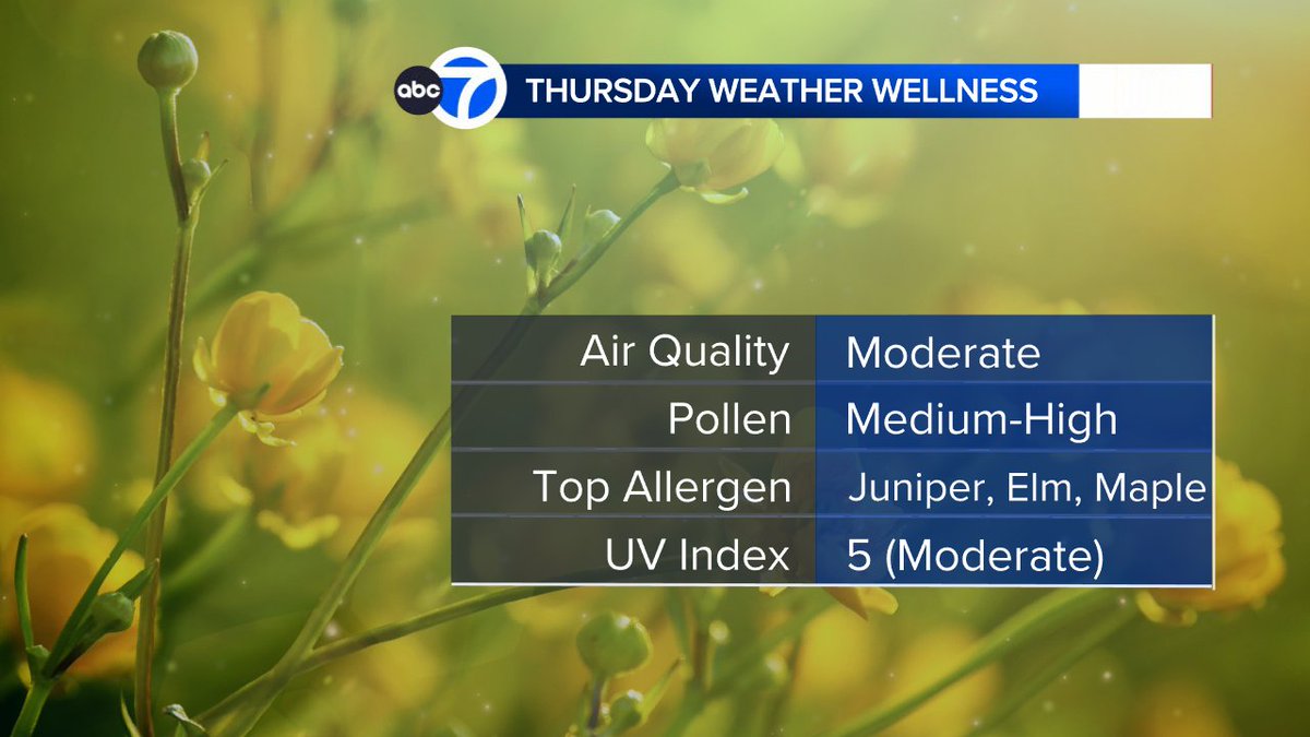Jeff Smith tweet media