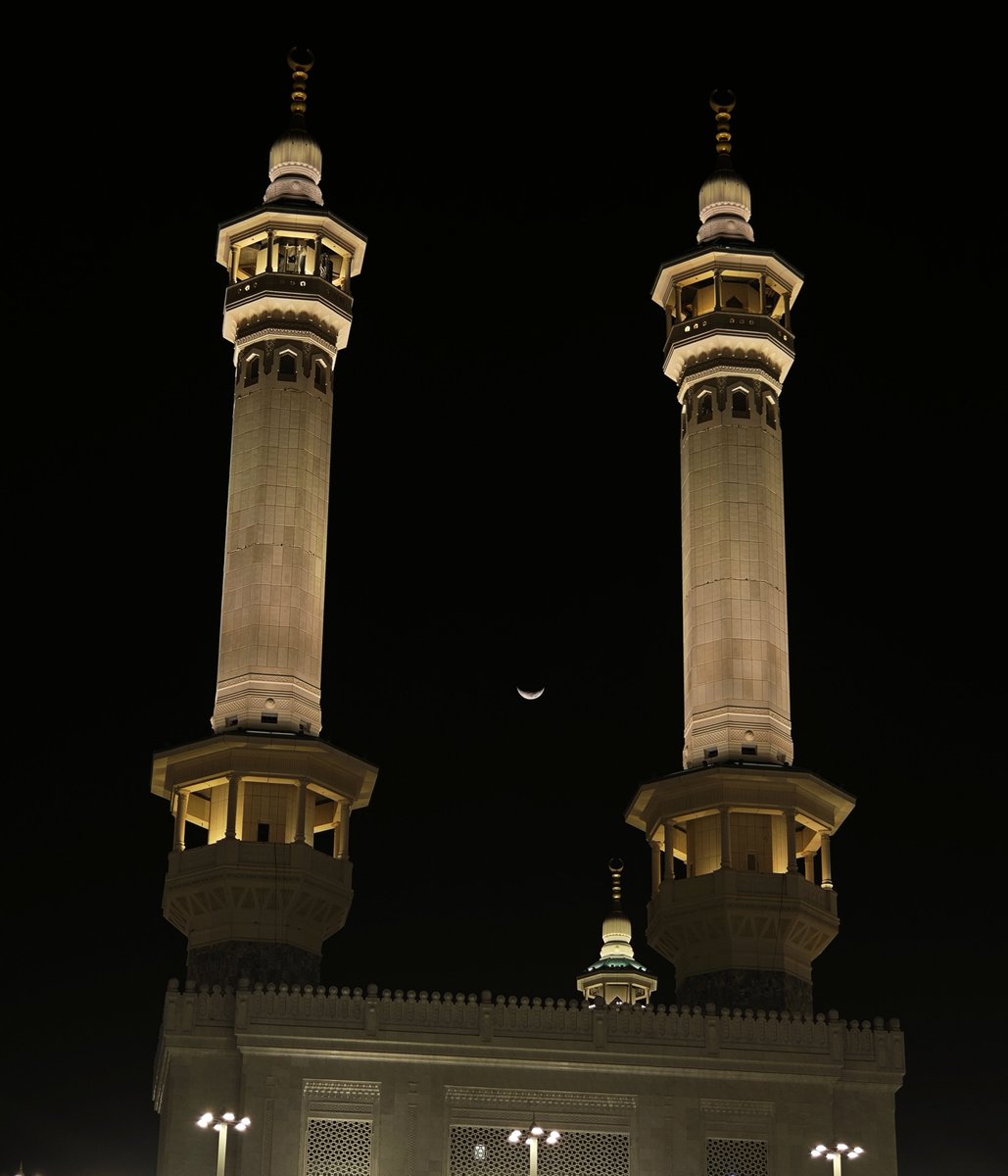 sofi can tweet media