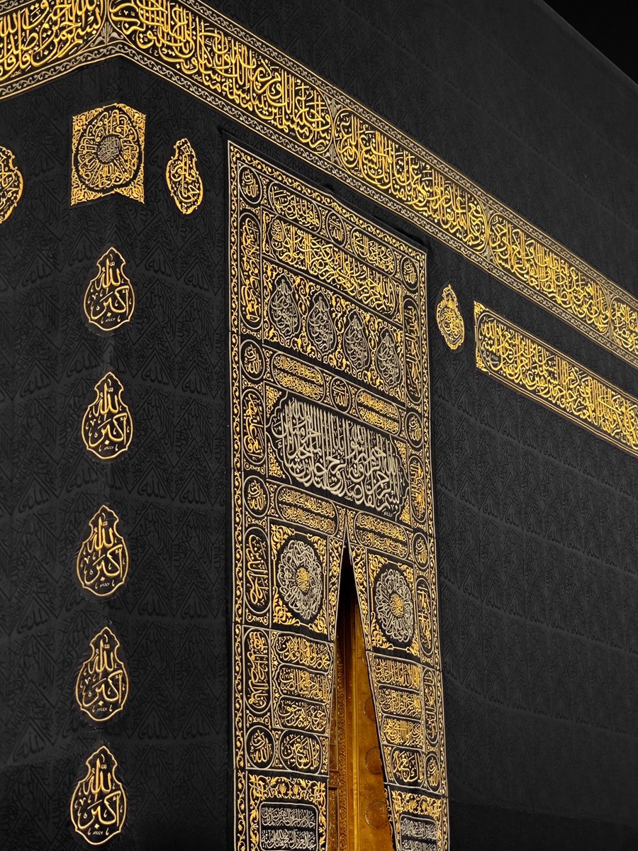 sofi can tweet media