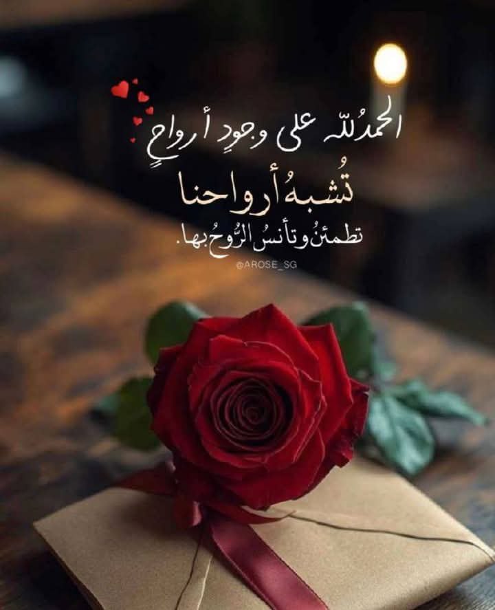 ايدير بن شريف tweet media