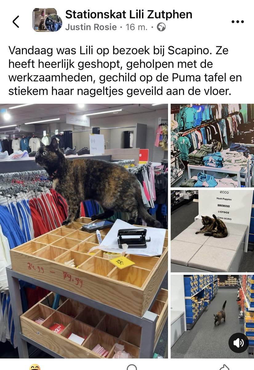 Mevrouw de Advocaat tweet media