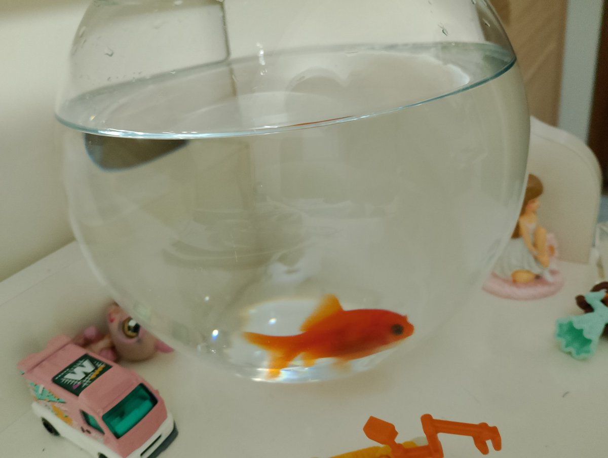 ophelia⁷🪭|mezunsal #istanbulsözleşmesiyaşatır tweet media