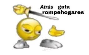 Sr Mapache 🦝🏆³ tweet media