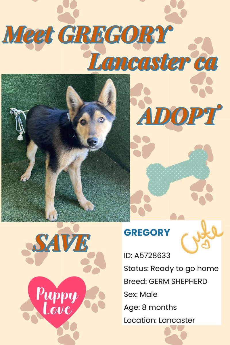 Sarah jane Gillespie tweet media