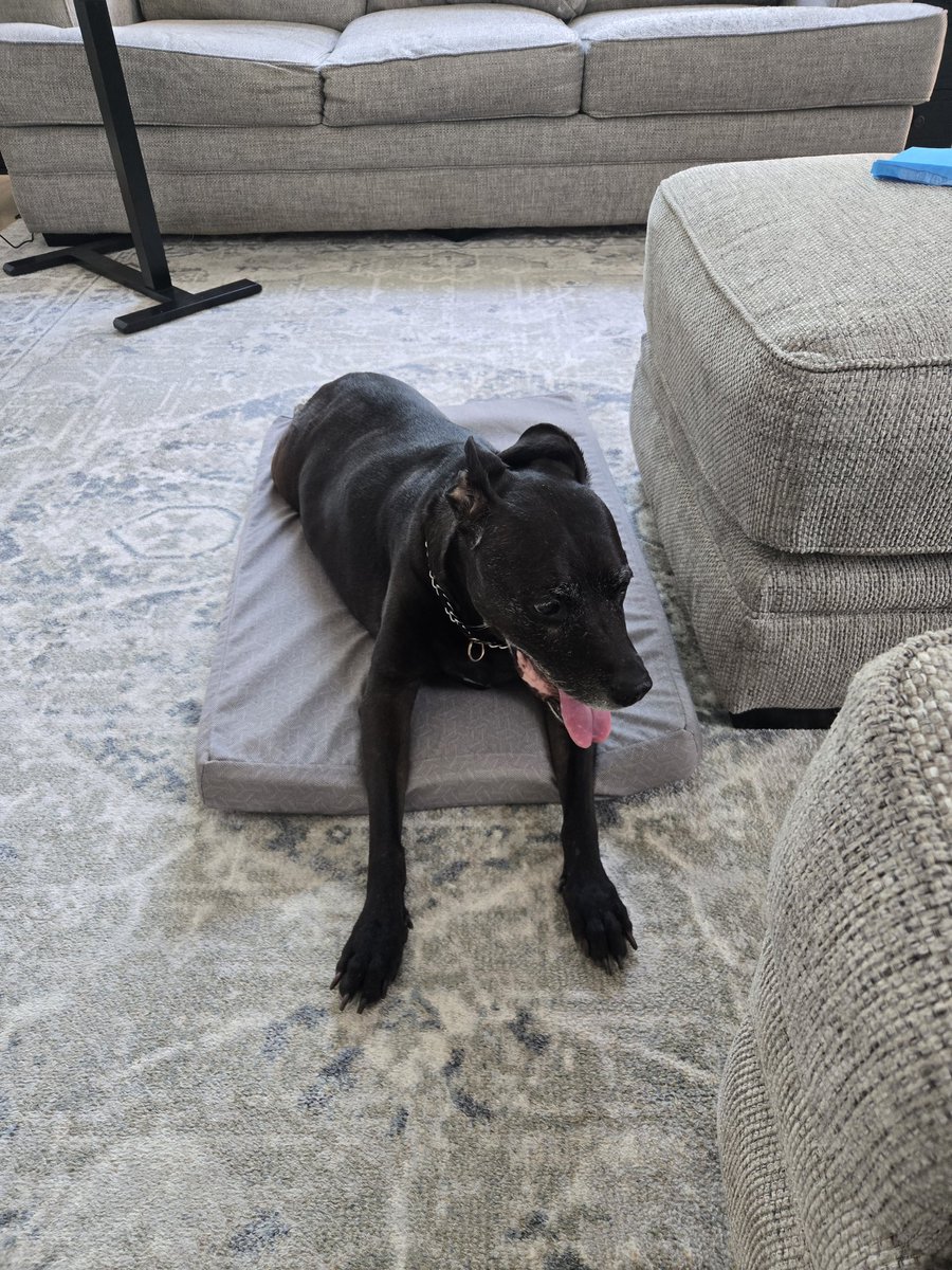 615 Steveo tweet media