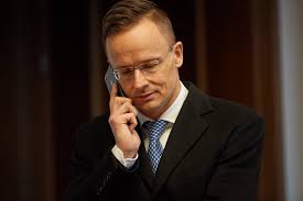 The Court Jester (Hofnarr) from the Alps 👊🏾😉 tweet media