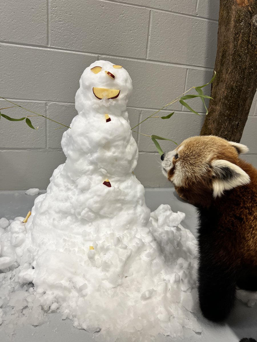 Philly Zoo tweet media