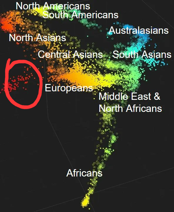 Charles Small tweet media