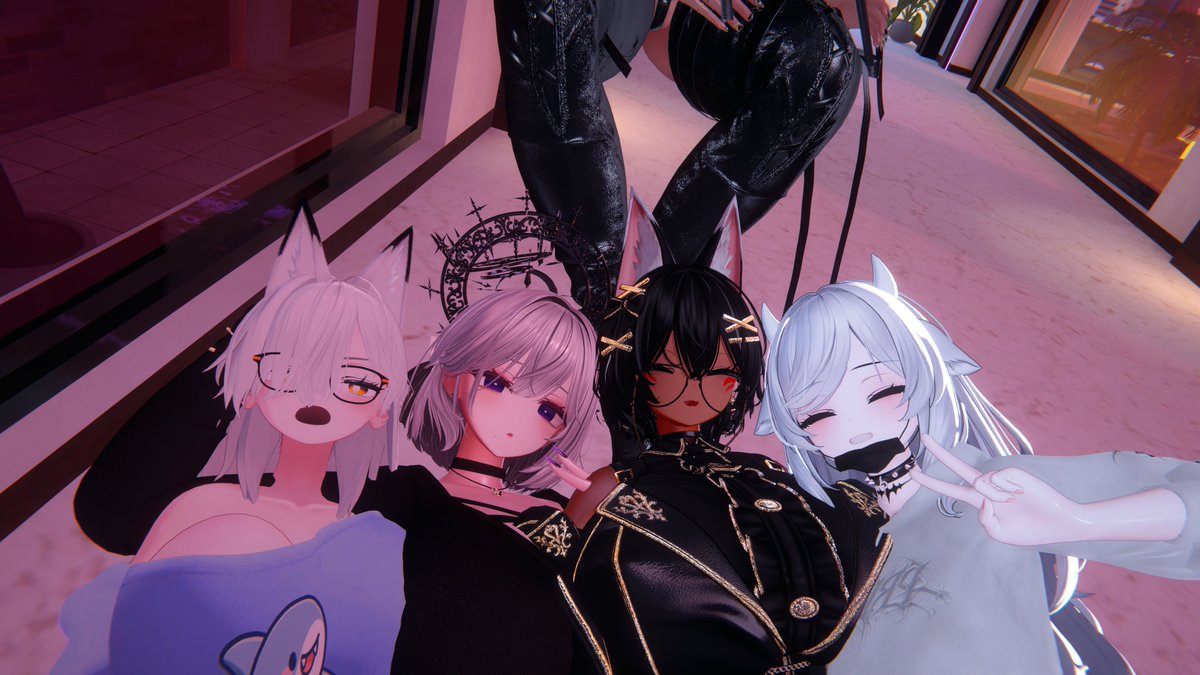 Post by Shiro 🐈 on X: 🐮📷