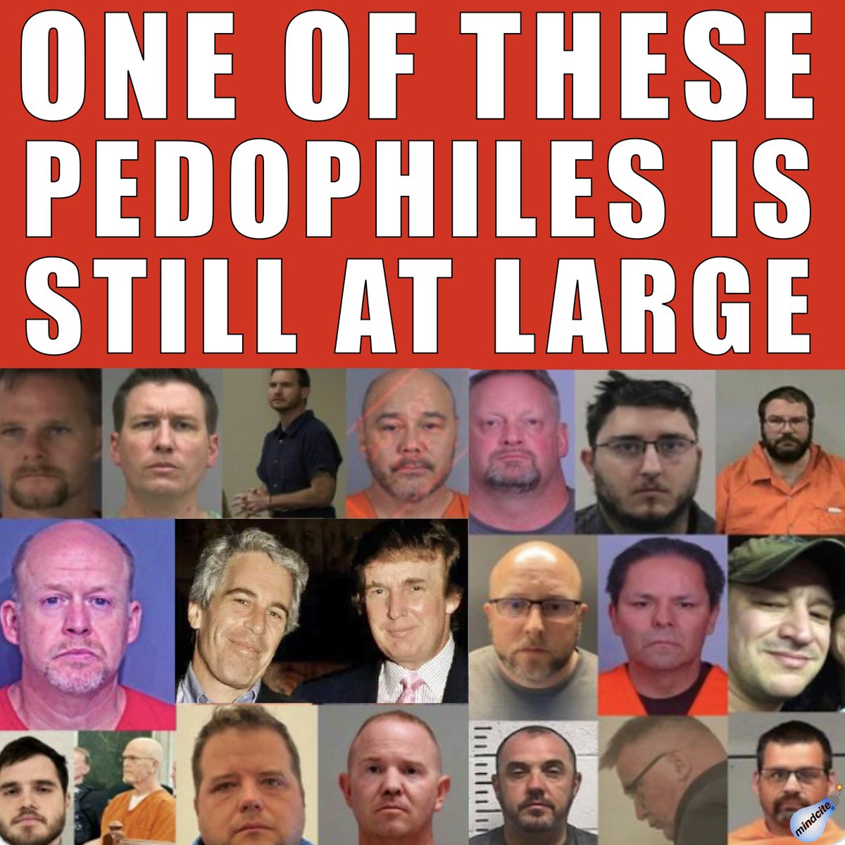 Mindcite💥 tweet media