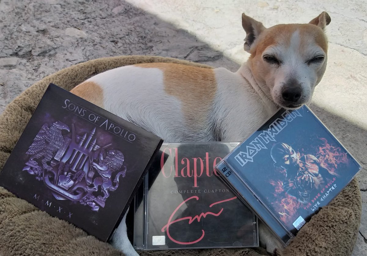 francisco villagran tweet media