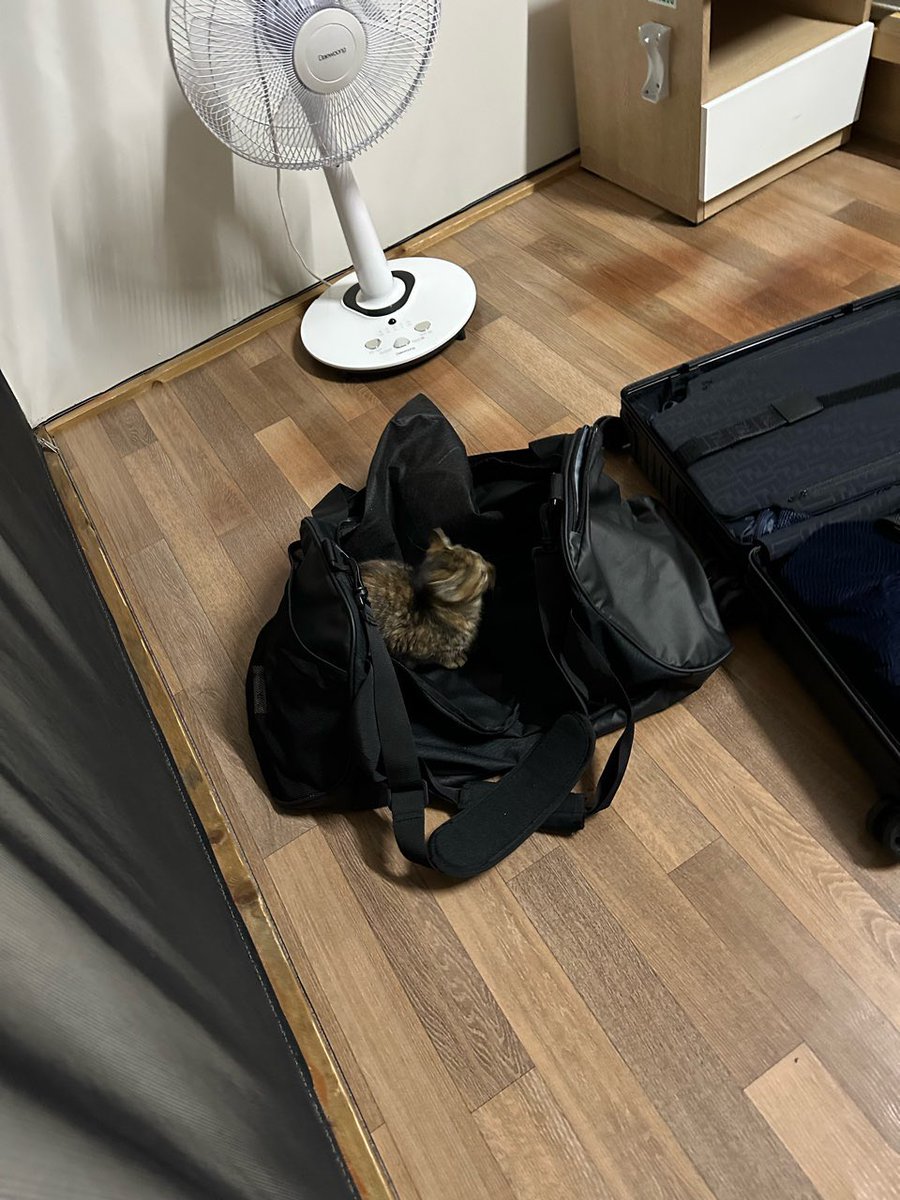 𝙶 𝚁 𝙴 𝚈 🧡 tweet media