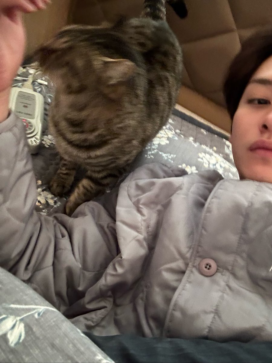 𝙶 𝚁 𝙴 𝚈 🧡 tweet media