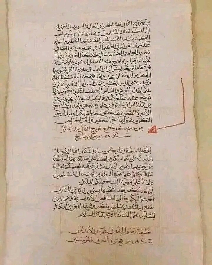 رغد العتيبي tweet media