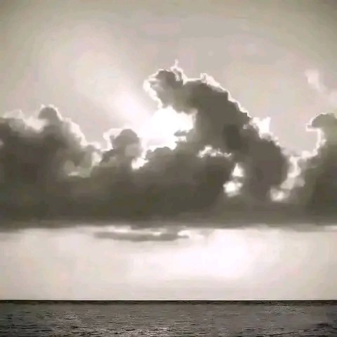 Slay Entrepreneur 🇿🇦 tweet media